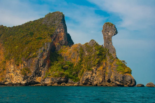 Pollo de isla. Krabi, Tailandia . —  Fotos de Stock