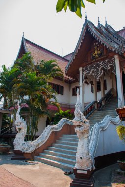 Heykel. Chiangmai Dragon.Thailand..