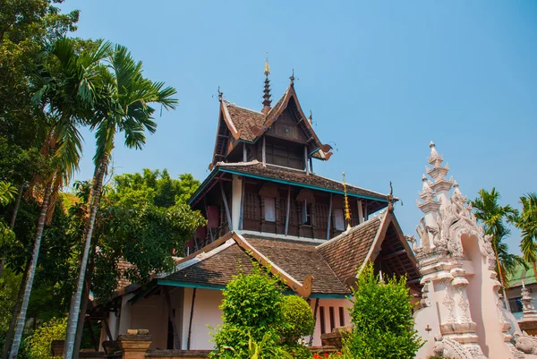 Templo da Tailândia. Chiangmai. . — Fotografia de Stock