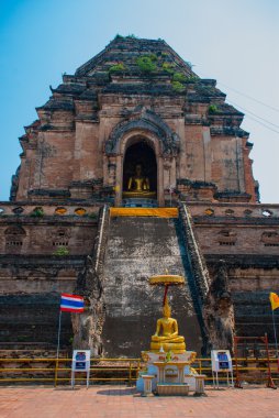 Büyük stupas taş. Chiangmai. Tayland.