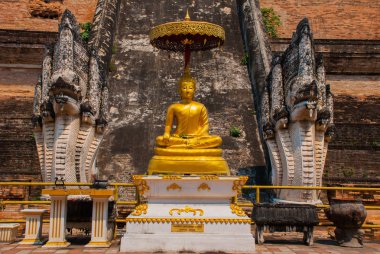 Heykel. Dragon. Altın Buddha. Tayland. Chiangmai.