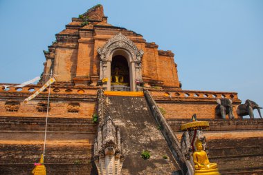Büyük bir taş. Filler heykeli. Chiangmai. Tayland.