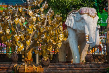 Heykel bir fil. Chiangmai.