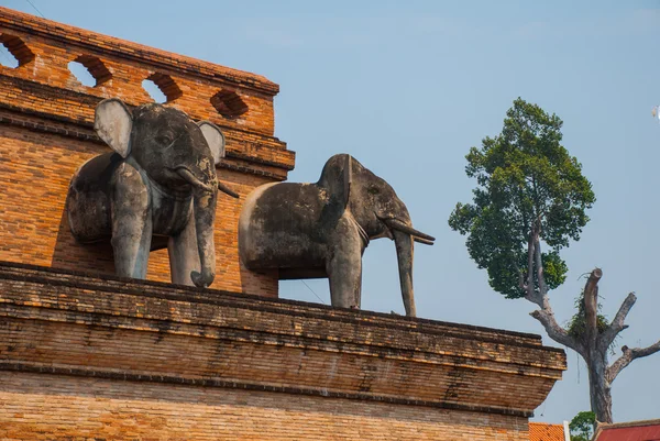 Świątynia Tajlandii. Rzeźba słoni. Chiangmai. — Zdjęcie stockowe