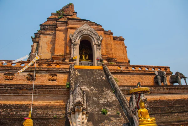 Große Stupas aus Stein. Skulptur von Elefanten. chiangmai. Thailand. — Stockfoto