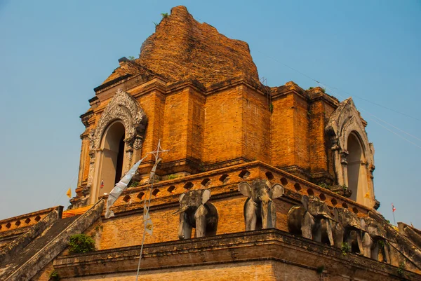 Grote stoepa van steen. Beeldhouwwerk van olifanten. Chiangmai. Thailand. — Stockfoto