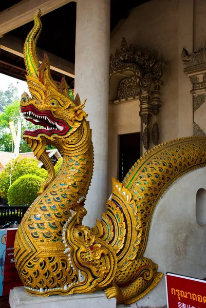 Escultura. Dragón. Tailandia. Chiangmai. . — Foto de Stock