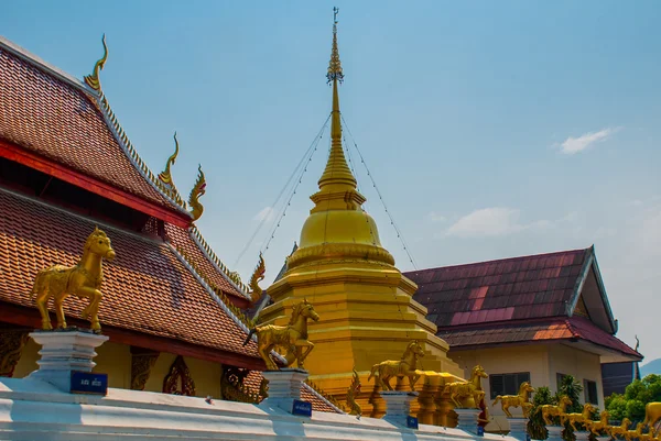 Escultura do cavalo dourado. Templo da Tailândia. Chiangmai. . — Fotografia de Stock