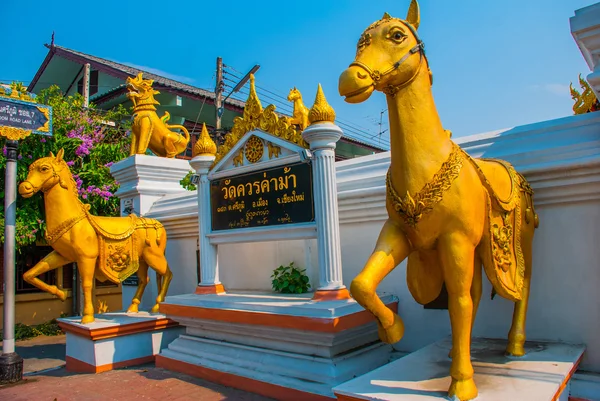 Sculpture du cheval d'or. Temple de Thaïlande. Chiangmai . — Photo