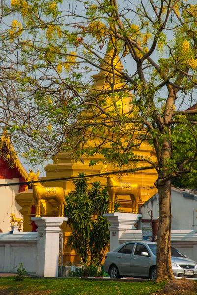 Altın Stupa. Chiangmai. Tayland. — Stok fotoğraf