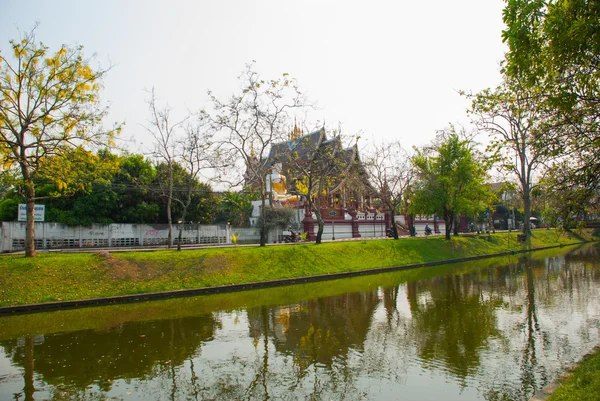 Yaz aylarında havuzda Budist tapınakları. Chiangmai. Tayland. — Stok fotoğraf