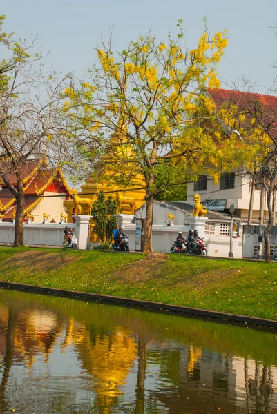 Templos budistas na lagoa no verão. Chiangmai. Tailândia . — Fotografia de Stock