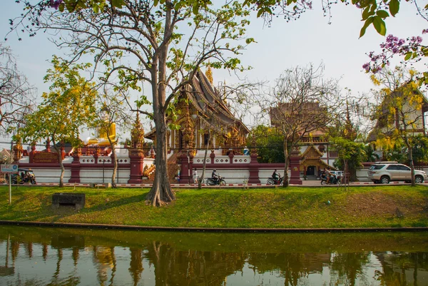 Templos budistas en el estanque en el verano. Chiangmai. Tailandia . — Foto de Stock