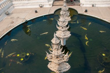 Balık pond. WAT Rong Khun, Beyaz Tapınak. Chiang Rai, Tayland.
