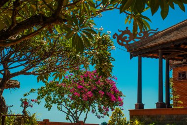 Çalılar yakınındaki küçük bir tapınak. Nha Trang. Vietnam