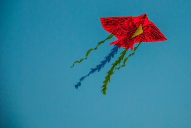 Kites. Nha Trang, Vietnam clipart
