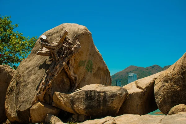 De tuin van stenen. Nha Trang. Vietnam — Stockfoto