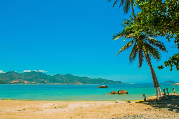 Pláž s palmami a modré moře. Nha Trang. Vietnam — Stock fotografie
