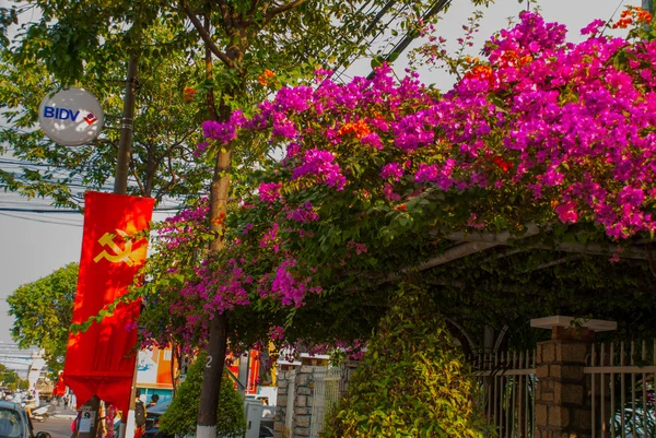 红旗与锤子和镰刀在背景颜色。芽庄, 越南. — 图库照片