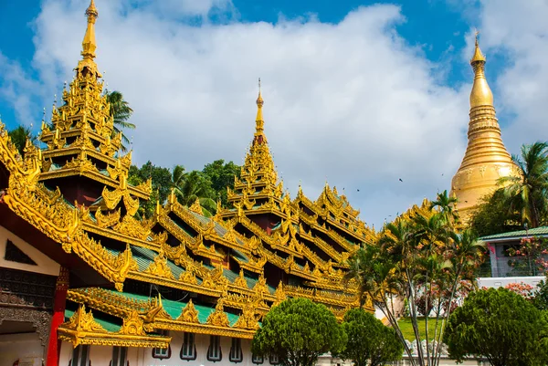 Altın stupa. Shwedagon Selami pagoda. Yangon, Myanmar
