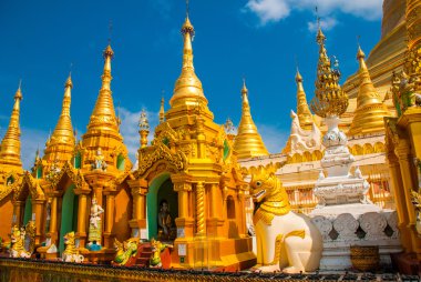 Altın stupa. Shwedagon Selami pagoda. Yangon, Myanmar