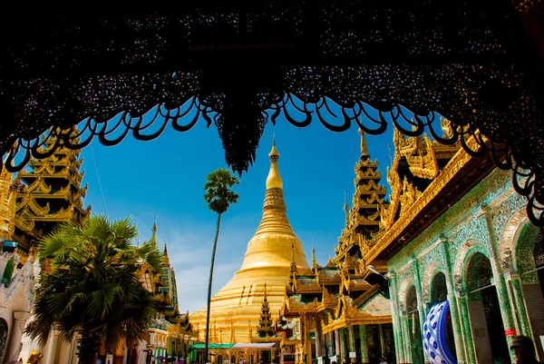 Kultainen tynkä. Shwedagon maksaa pagodia. Yangon, Myanmar — kuvapankkivalokuva