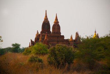 Antik tapınaklar Bagan, Myanmar. Burma