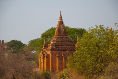 Antik tapınaklar Bagan, Myanmar. Burma