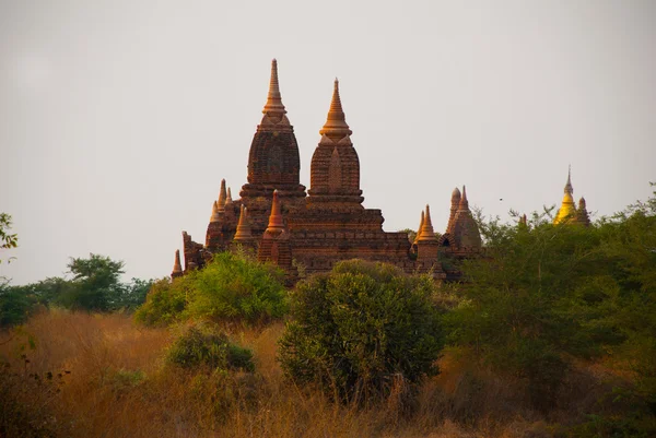 Antické chrámy v Bagan, Myanmar. Barma — Stock fotografie