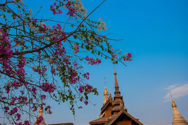 Templos antigos em Bagan, Myanmar. Birmânia — Fotografia de Stock