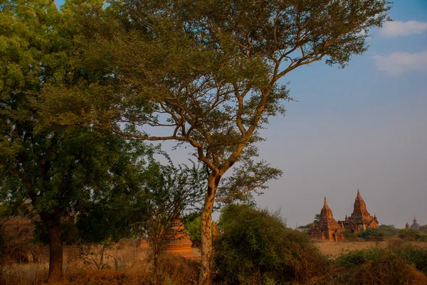 Templos antigos em Bagan, Myanmar. Birmânia — Fotografia de Stock