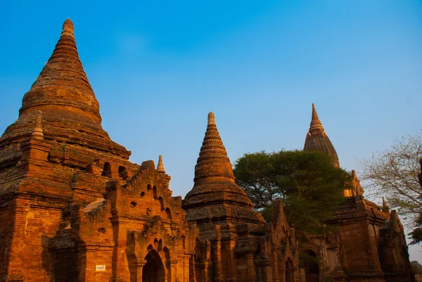 Ancient Temples in Bagan, Myanmar. Burma — Stock Photo, Image