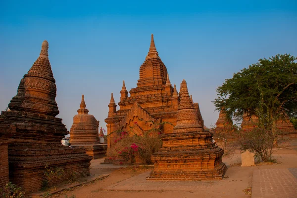 Antické chrámy v Bagan, Myanmar. Barma — Stock fotografie