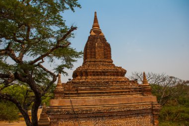 Bagan, Myanmar 'daki antik tapınaklar