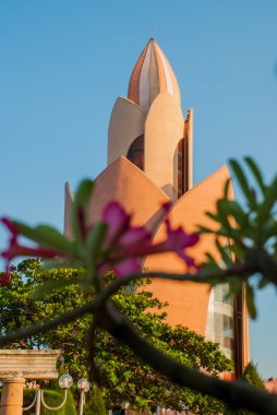 Lotus denir görev arka plan üzerinde güzel kırmızı çiçekler. Nha Trang. Vietnam.