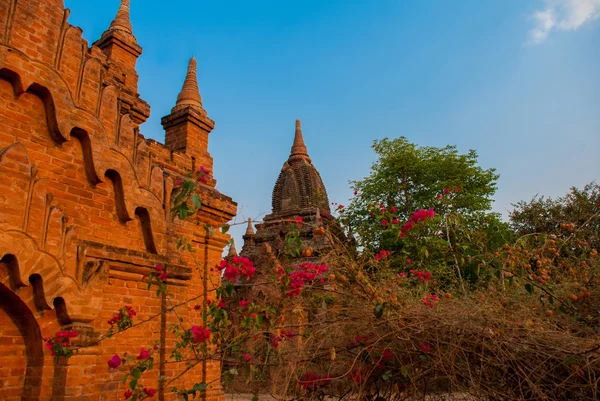 Templos antigos em Bagan, Myanmar. Birmânia — Fotografia de Stock