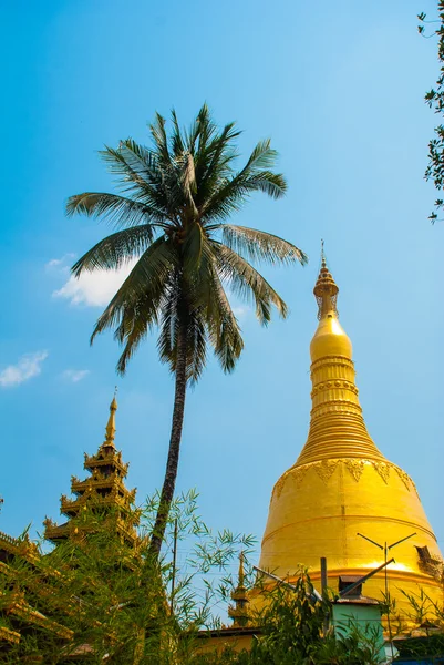 Швемаудо Пагода Пайя. Баго в Мьянме. Бирма . — стоковое фото