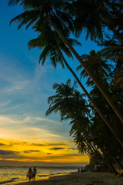 Silhouette palma da cocco all'aperto Concetto Vietnam, Mui Ne, Asia — Foto Stock