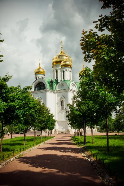 Catedral de Ekaterina con cúpulas doradas. Pushkin. Rusia —  Fotos de Stock