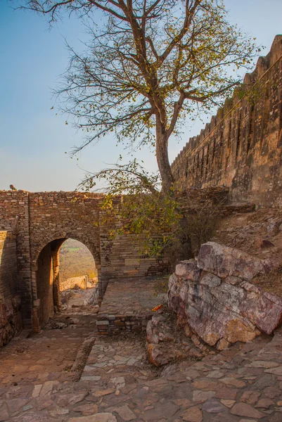 Chittorgarh Fort, Rajasthan, India. — Stockfoto