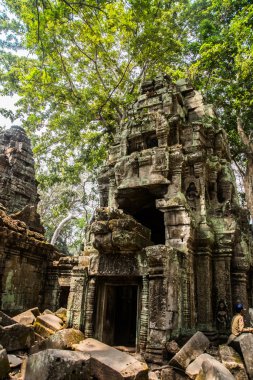 Tapınak duvarları ağaçta. Ta Prohm.Angkor.Cambodia.
