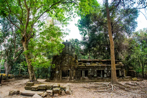 Le complexe du temple d'Angkor . — Photo