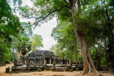 Angkor tapınak kompleksi.