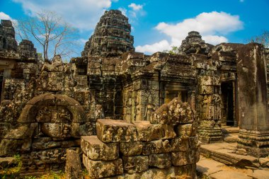 Angkor tapınak kompleksi.