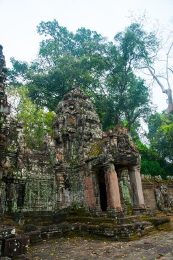 Angkor.Cambodia tapınak kompleksi.