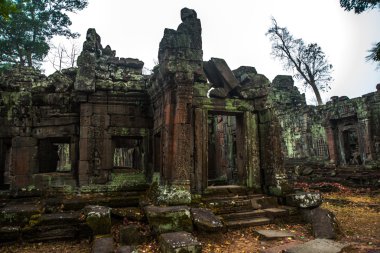 Angkor tapınak kompleksi.