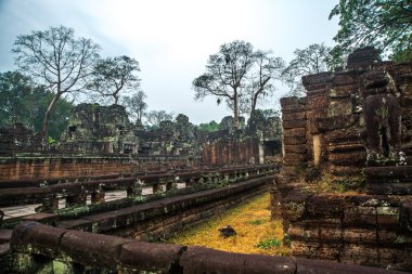 Angkor tapınak kompleksi.