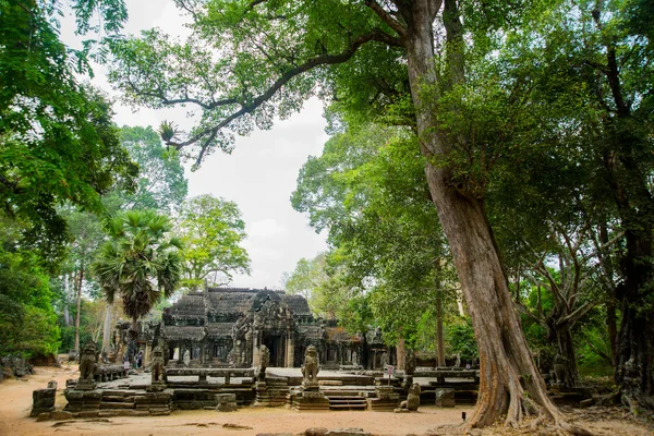 Der Tempelkomplex von Angkor. — Stockfoto