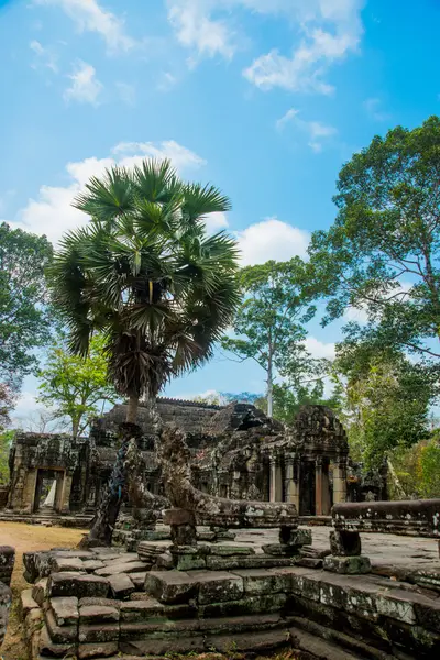 Le complexe du temple d'Angkor . — Photo