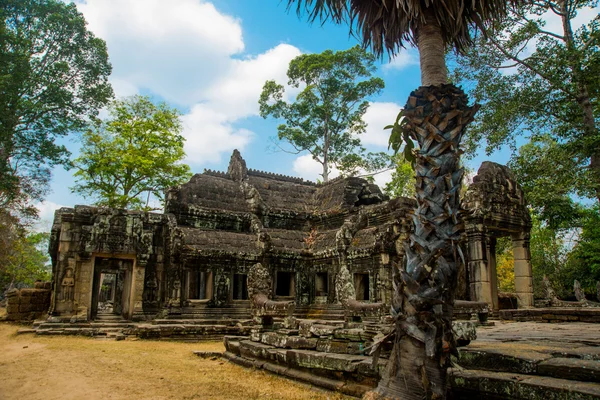 El complejo del templo de Angkor . — Foto de Stock